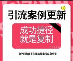 001b站找营销号去推产品，引流到淘宝-满地金自学网创