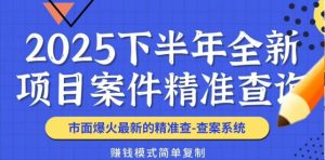 2025下半年火爆热门蓝海项目精准案件查询系统-满地金自学网创