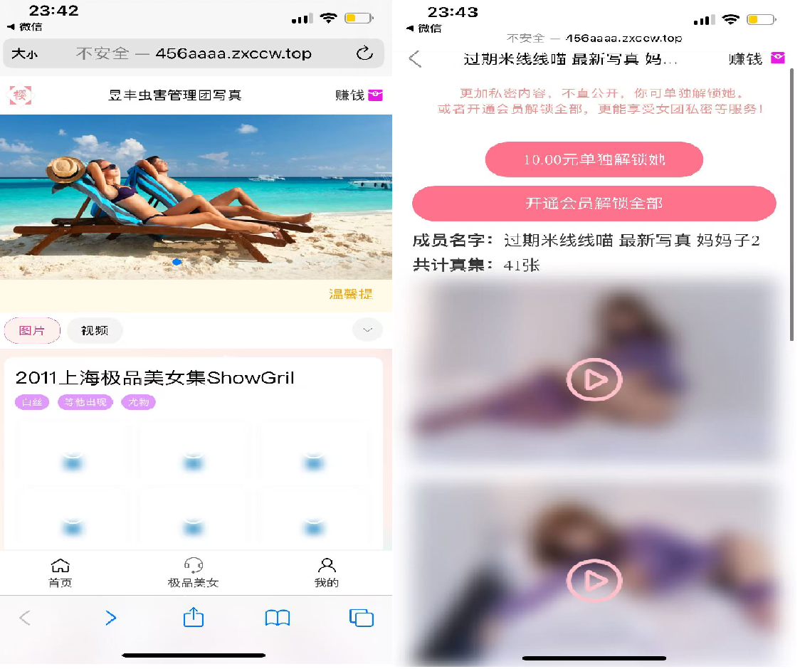 图片[1]-隐藏写真图片网站源码+详细视频教程-满地金自学网创